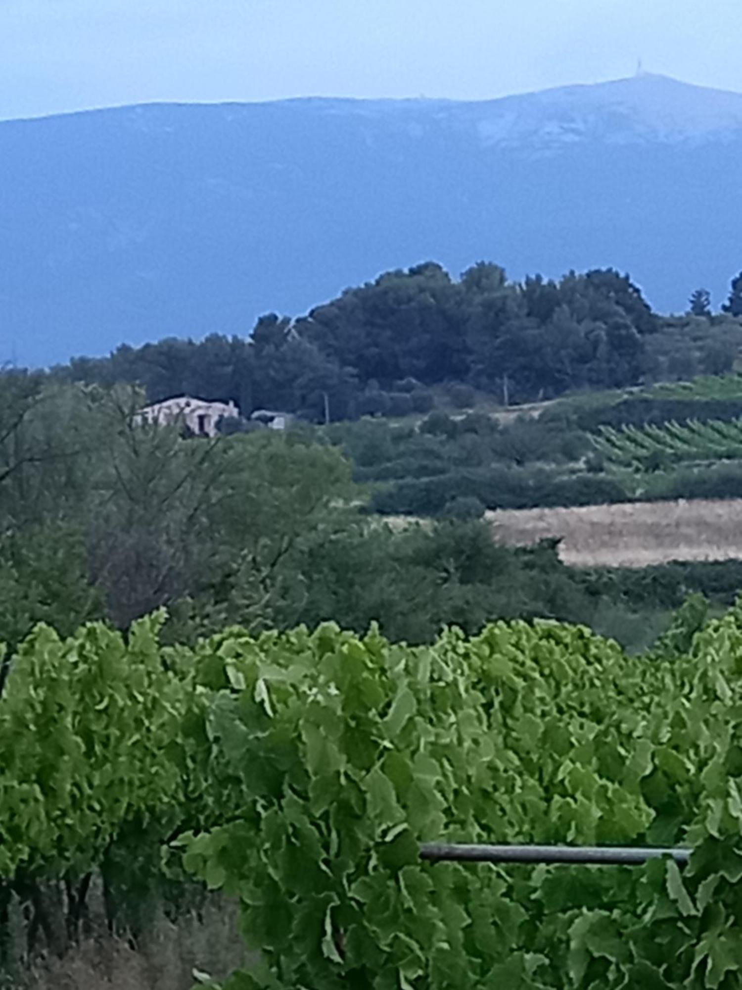 La Pifote Villes-sur-Auzon